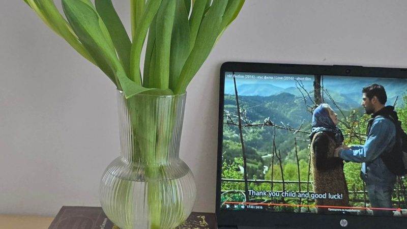 Short films, big impact: Bulgarian stories that will impress you